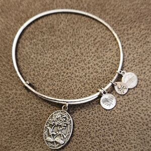 Alex and Ani Silver Charm Bracelet